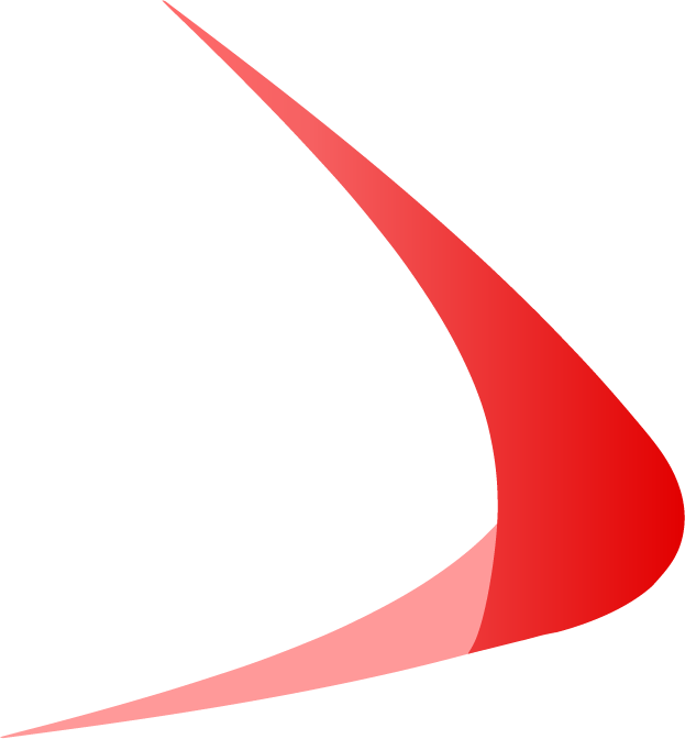 Royal Jet Logo
